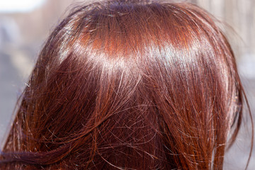 Women's hair in nature. Close-up of shiny straight long hair. Texture.