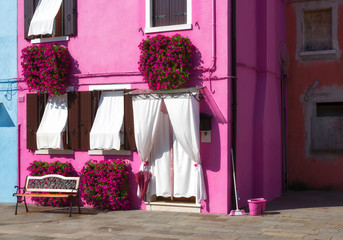 A small courtyard in Burano, with colored walls of houses and flowers, Italy