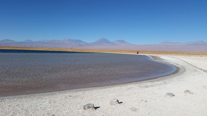 Laguna Altiplanica Salada © Wladimir