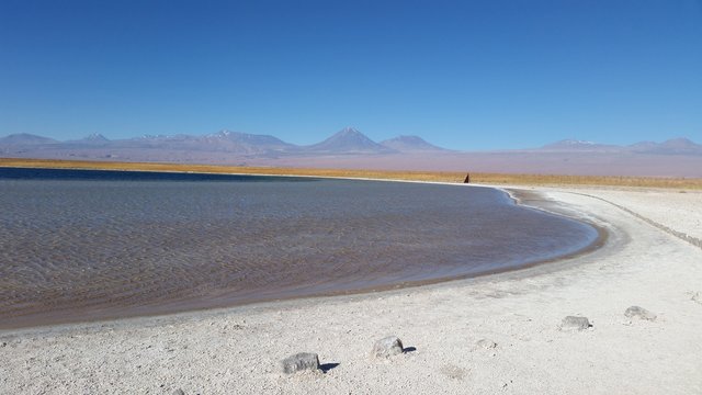 Laguna Altiplanica Salada
