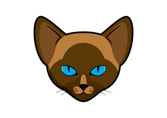 Siamese Cat head vector. Brown cat with blue eyes vector. Cat head graphic icon isolated on a white background. Beautiful cat head clip art