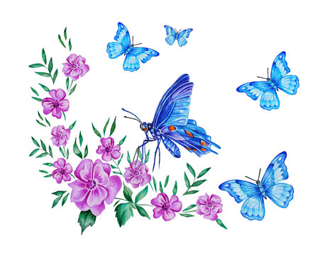  Illustration of  bouquets of flowers with butterflies flying around. Watercolor. Hand drawn.