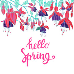 Obraz premium Background with violet and pink fuchsia flowers and hello spring