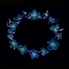 Fototapeta na wymiar Luminescent blue and green flower oval vignette on black background, styled as a watercolor painting with calligraphy elements