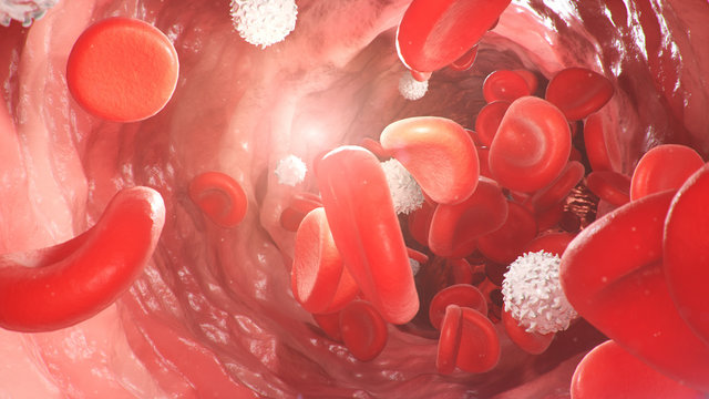Red blood cells inside an artery, vein. Flow of blood inside a living organism. Scientific and medical concept. Transfer of important elements in the blood to protect the body. 3d illustration