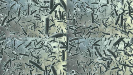 Virus SARS COVID-19 Coronavirus cell bacteria medical biology science 3D illustration.