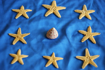 Fototapeta na wymiar different concept. unusual shell is prominent and is surrounded by starfish. Leadership, uniqueness, think different, teamwork business success