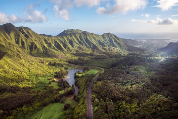 Aerial view of tropical rainforest in Hawaii