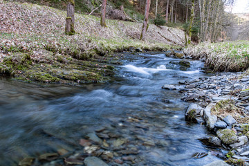 Gewässer und Auen im Naturschutzgebiet