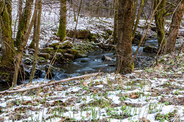 Gew&auml;sser und Auen im Naturschutzgebiet