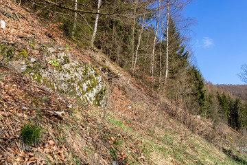 Bergfuss und Talabstieg Naturschutz