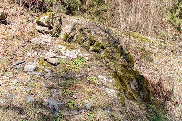 Bergfuss Naturschutz