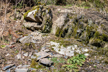 Bergbruchstein Naturschutzgebiet