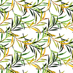Tree branches seamless pattern.Image on white and color background.