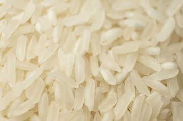 Groats white rice porridge white closeup. Macro photography