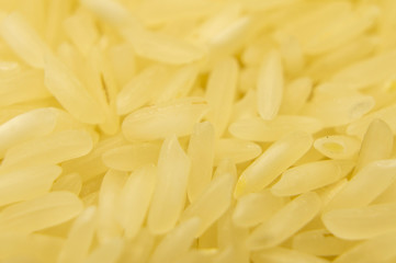Groats white rice porridge yellow closeup. Macro photography