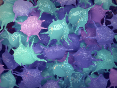 Platelets known as thrombocytes are blood cells responsible for fixing damaged blood vessels by forming blood clots