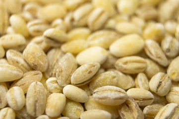 Pearl barley oats closeup. Macro photography