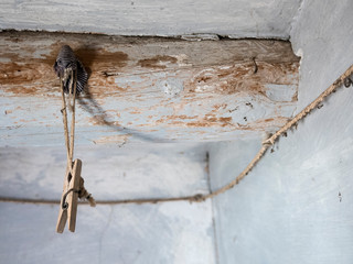 Detalle de un techo de una casa en ruinas con cable electrico antiguo y una pinza de madera colgando.