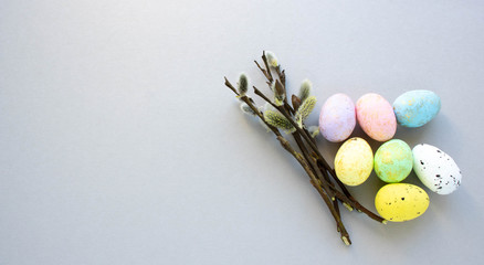 cut willow twigs on gray background with muiticolored eggs for Easter.