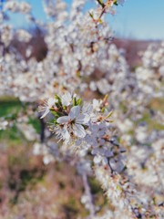 Processed with VSCO with av4 preset