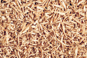 Texture of wood shavings as a background image. Background of fresh wood shavings. Copy, empty space for text