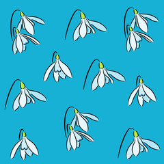 Snowdrop flowers background