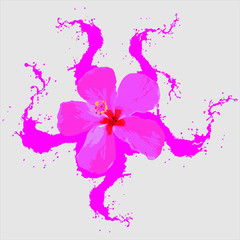 Hibiscus flower on a pink background