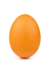 Egg close up isolated on white background