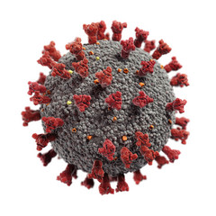 Coronavirus