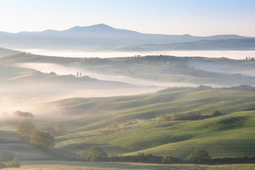 Beautiful colors of green spring panorama landscape of Tuscany. Most popular place in Italy. Green fields and blue sky and Cypress tree scenic road near Siena. Amazing foggy morning with sunshine