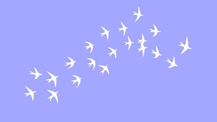 3D rendering swallows group flying spread sky freedom animals