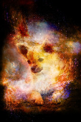 little charming adorable chihuahua puppy on abstract structured space background.