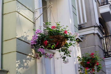 Fototapeta na wymiar Hanging baskets of flowers on the wall of a building