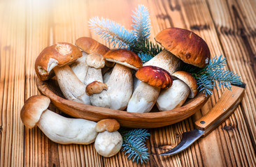 Beautiful boletus edulis mushrooms in old rustic bowl. White mushroom on board with spruce twig. Ceps Boletus over Wooden Dark Background.