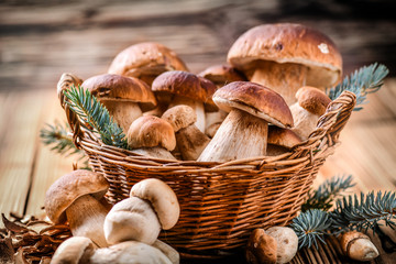 Mushroom Boletus in wooden wicker basket. Autumn Cep Mushrooms. Boletus edulis over Wood Background, close up on  rustic table. Cooking delicious organic deliciou food mushroom. - obrazy, fototapety, plakaty