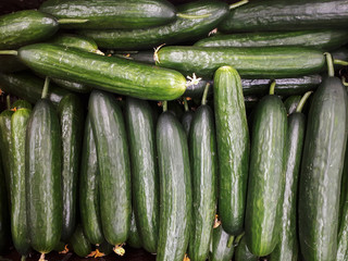 Cucumber background. Many cucumbers on shelf in supermarket, top view
