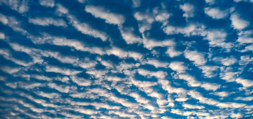 Cloud fly blue sky texture background