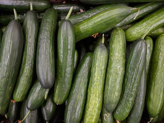 A lot of green cucumbers on shelf in supermarket. Cucumber background