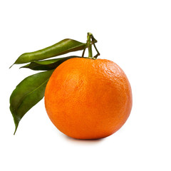 Orange from Sicily – 