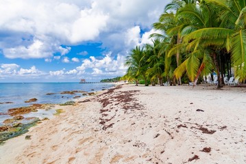 Cozumel island in Mexico
