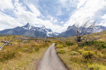 Landscape of 