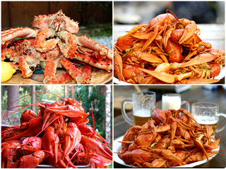 crab and crayfish with beer collage