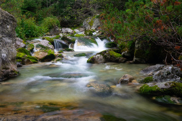 Stream in the High Tatras, Slovakia