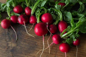 Bunch of freshly picked organic radishes on wood table. Room for copy. 