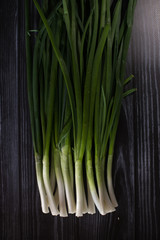 Green bunch of onions on a dark background. Immunity boost