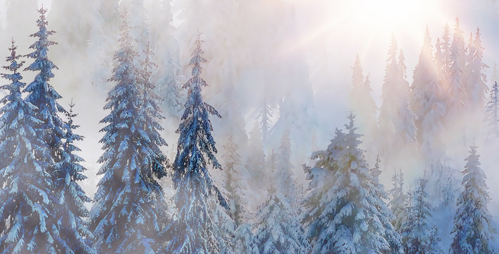 mountain snowy landscape and snow covered trees, graphic effect.