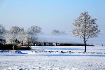 winter nebel