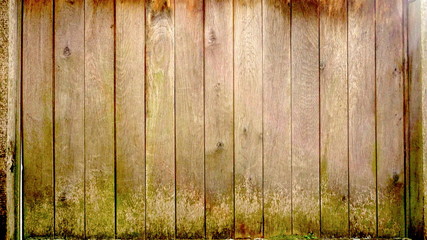 Mossy wood vintage background wall fence rotting musty style