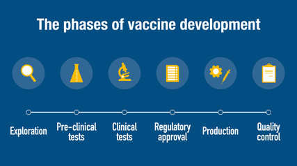 The different phases of vaccine development
